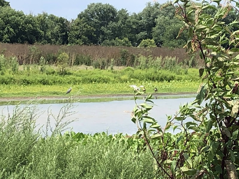 Hays Kennedy Park - Image 2