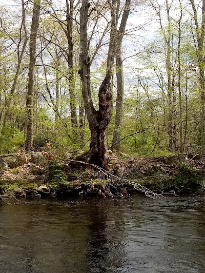 Heron Cove Park - Image 2