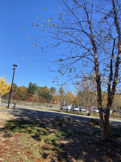 Westport Weston Family YMCA - Image 2