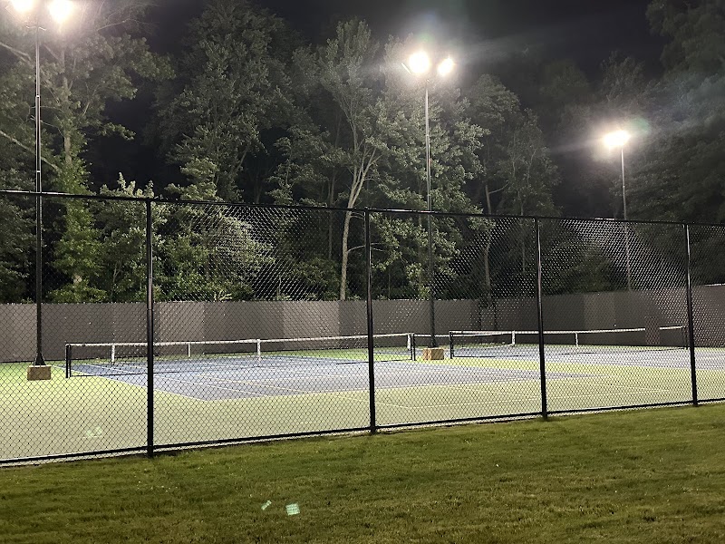 LP Wilson community center pickleball court - Image 2