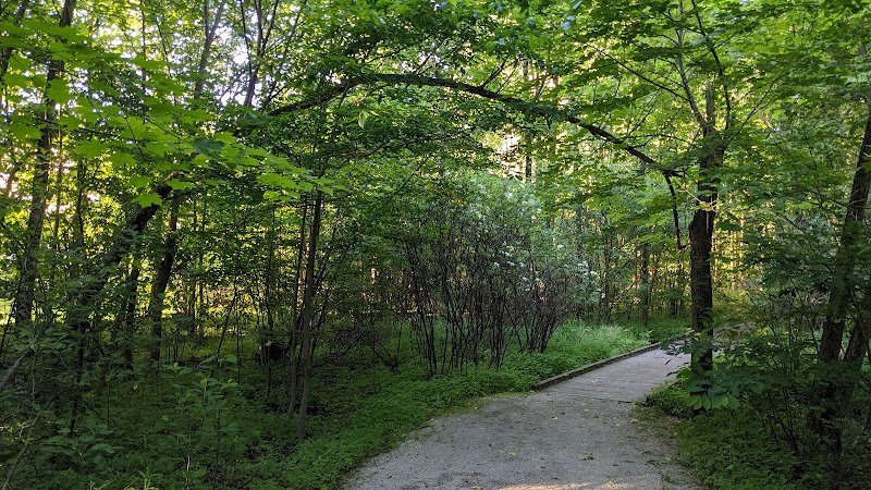 Whitetail Park - Image 2