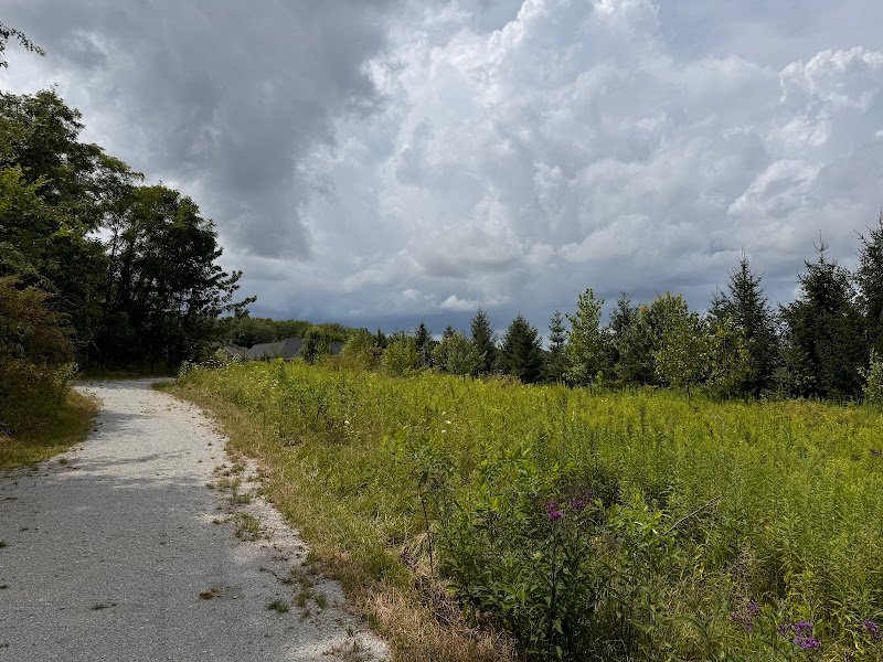 Whitetail Park - Image 3