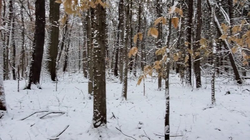 Adell Durbin Park - Image 2