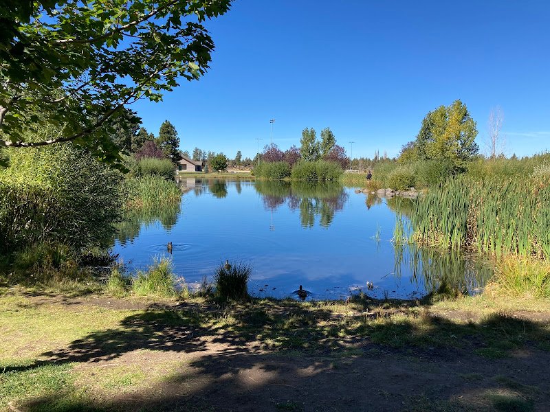 Pine Nursery Park - Image 3