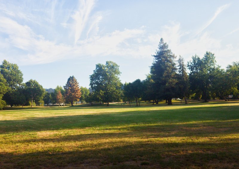 Westmoreland Park thumbnail