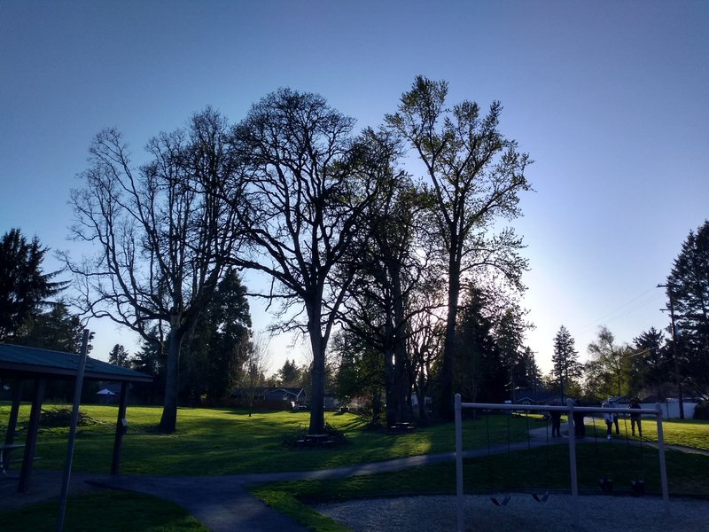 Willamette Manor Park thumbnail