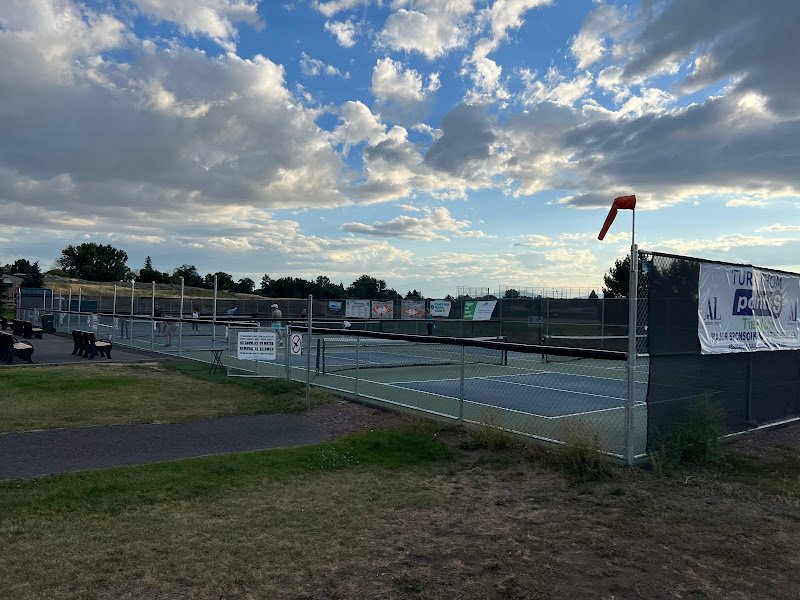 Steens Baseball ️ fields & pickle ball courts (tennis ) - Image 2