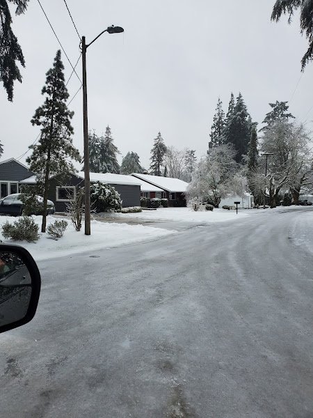 Risley Park - Image 3