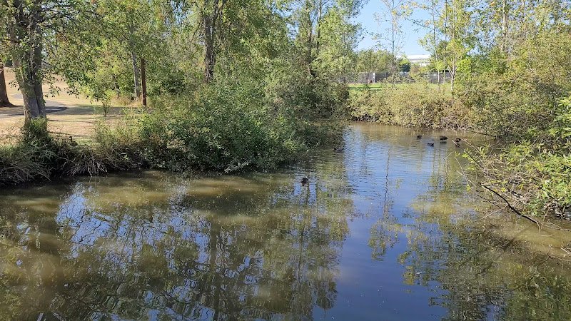 Hillendale Park - Image 2