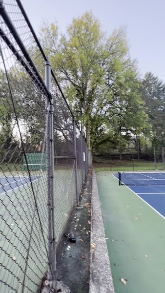 Raleigh Park Pickleball & Tennis Courts thumbnail