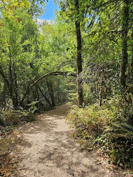 Orchard Heights Park - Image 3