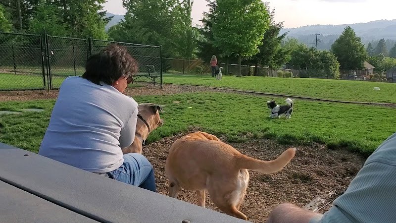 Snyder Park - Image 2