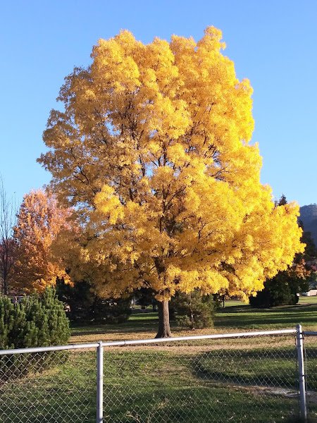 Roberts Park - Image 3