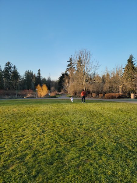 Jurgens Park - Image 2