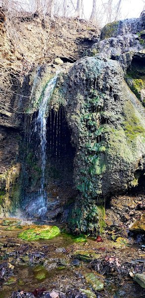 McLaughlin Run Park - Image 2