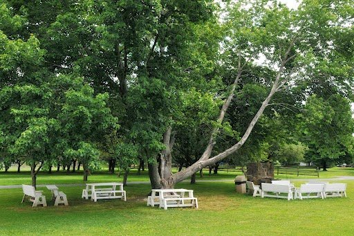 Camp Curiosity - Image 3