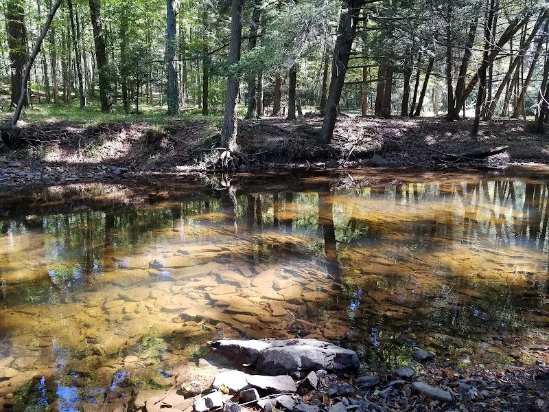 Country Club of Harrisburg - Image 2