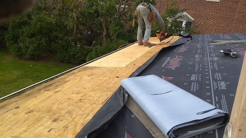 Paddock Park - Image 2