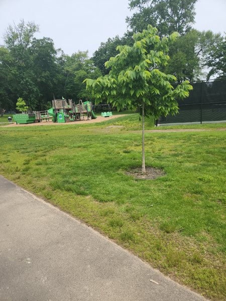 Lower Moreland Township Park and Playground thumbnail
