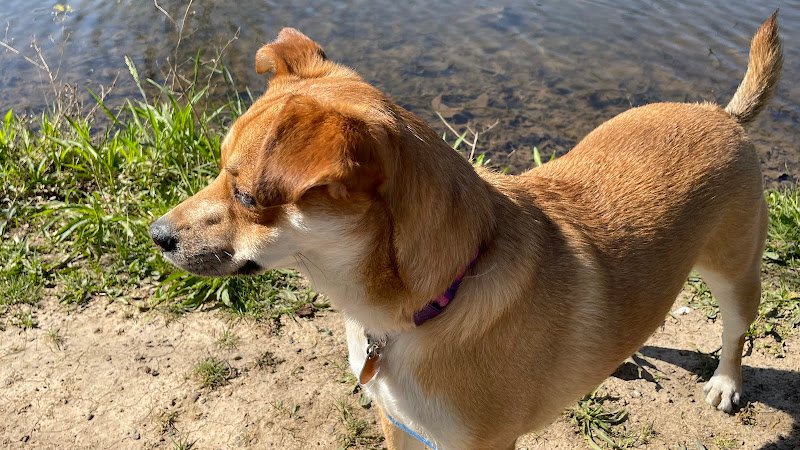 Guinea Lane Park - Image 3