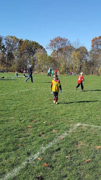 Collier Park - Image 2