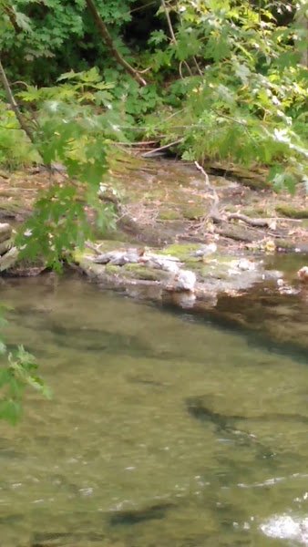 Blakely Borough Recreation Complex - Image 2