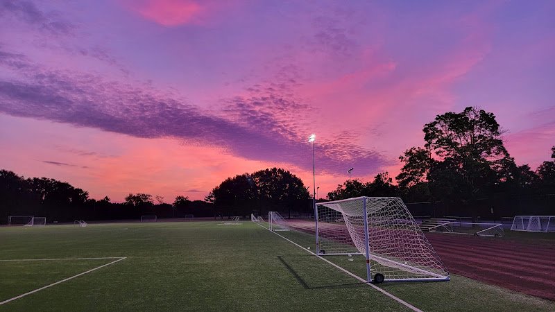 Schenley Oval - Image 2