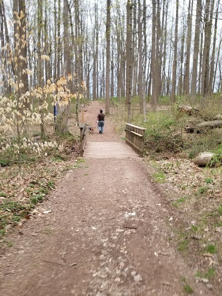 Ellis Woods Park thumbnail