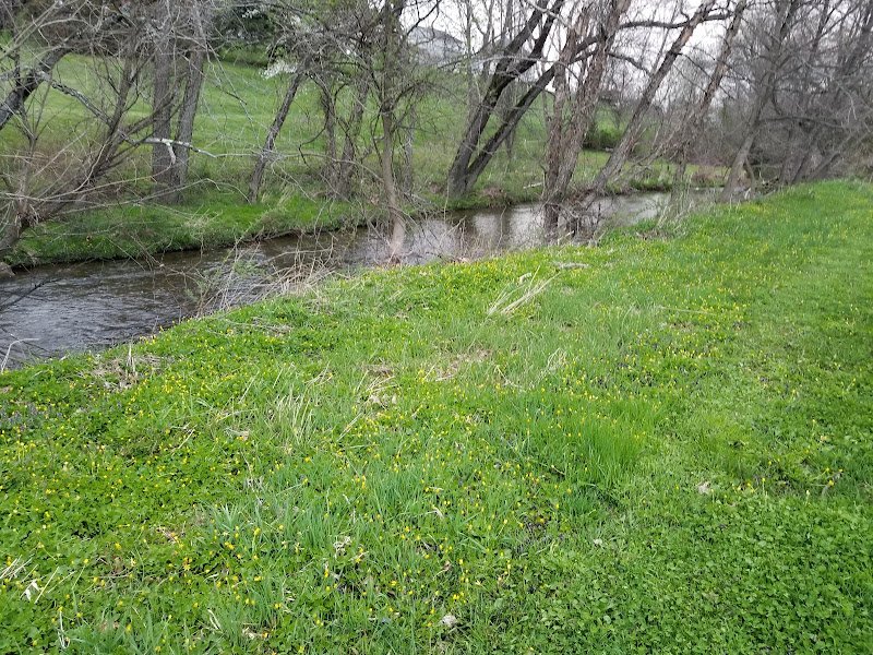 Ellis Woods Park - Image 2