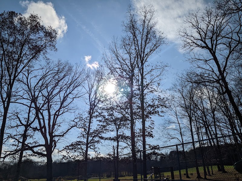 Morrison Park - Image 3