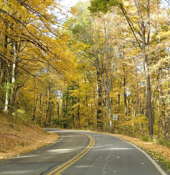 South Park thumbnail