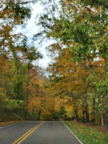 South Park - Image 2