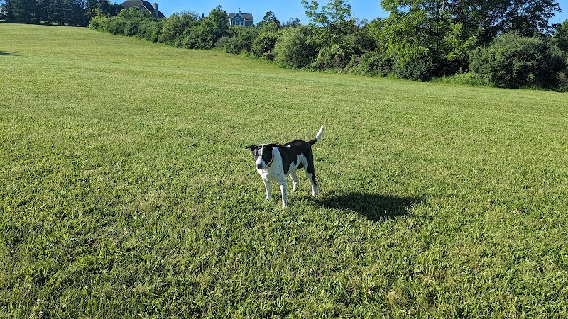 Dalevue Park - Image 3