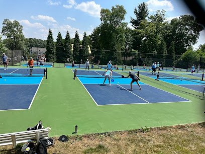 Dink City Pickleball thumbnail