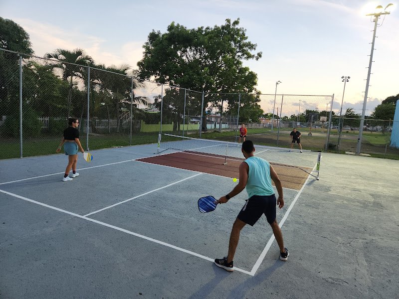 Glenview Pickleball Club thumbnail