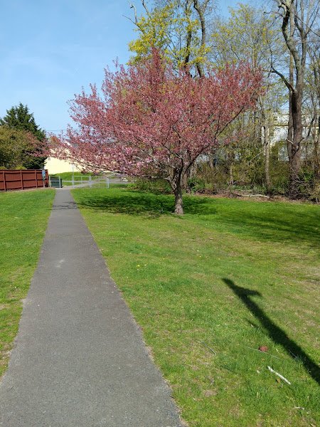 Burrs Hill Park - Image 2