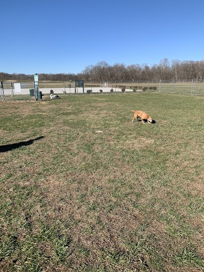 Phil Moore Park - Image 2