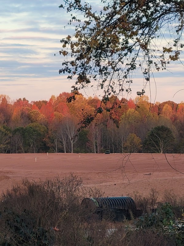 Ducworth/Tucker Sports Park - Image 3