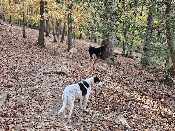 Crooked Creek Park thumbnail