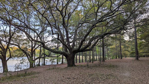 Southeast Park - Image 3