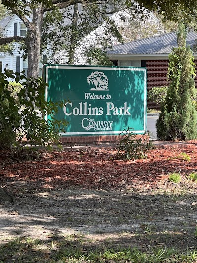Collins Park thumbnail
