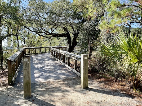 Daniel Island Recreation Center - Image 2