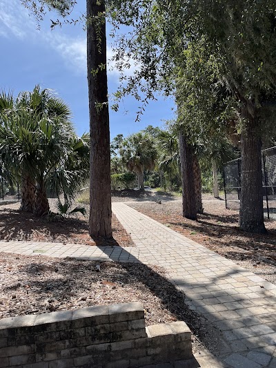 Wyndham tennis and Pickleball Courts - Image 2