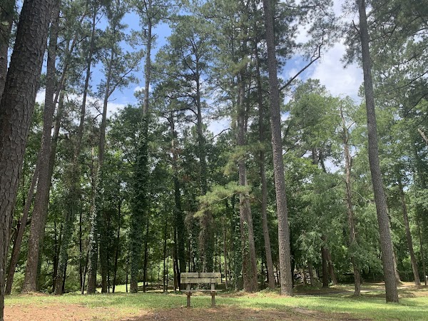 Aiken County Recreation Center - Image 3