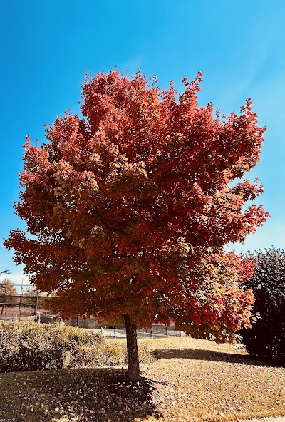 Kroc Tennis Center - Image 3