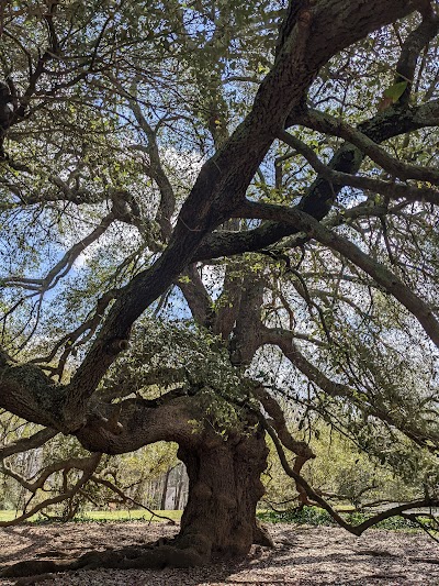 Holmes Park - Image 2