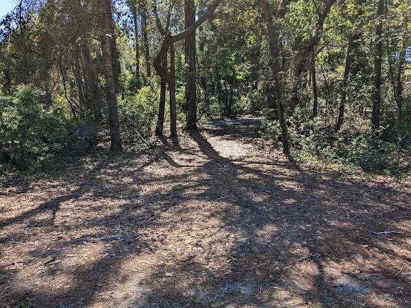 Chaplin Community Park - Image 3