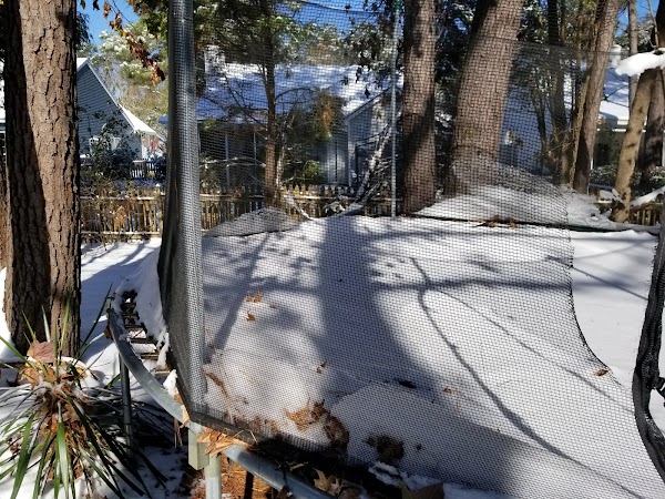 Mount Pleasant Recreation Department thumbnail