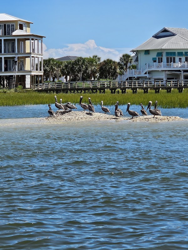 Murrells Inlet Community Center - Image 3
