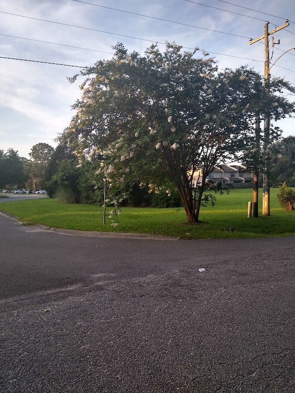 Collins Park thumbnail